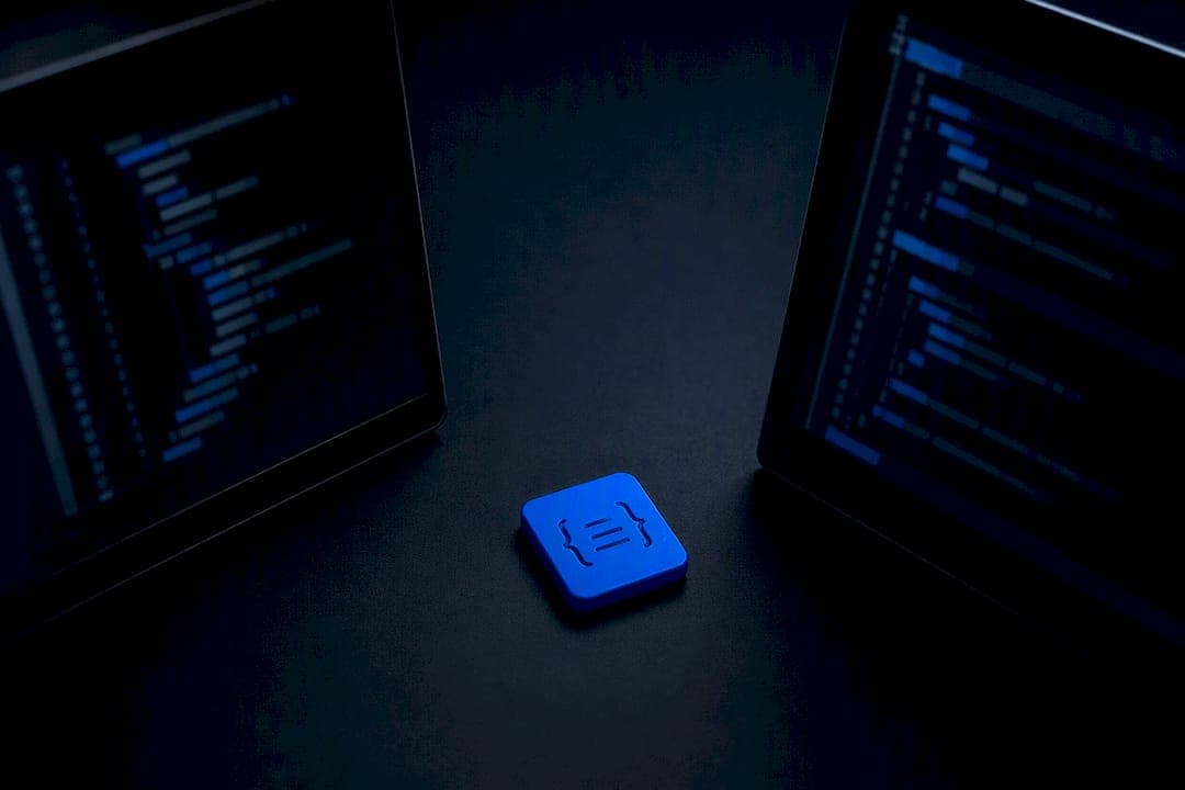 Copy Paste Canonical JSON for Developers, CI Tests and Examples